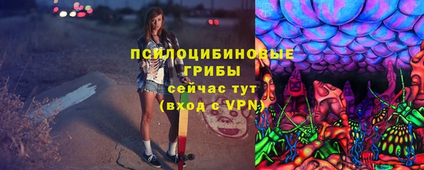 spice Кинешма