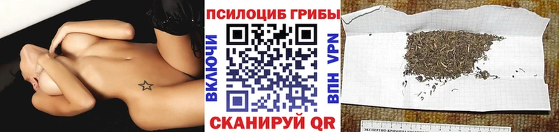 Галлюциногенные грибы MAGIC MUSHROOMS  Купить закладки  Назрань 